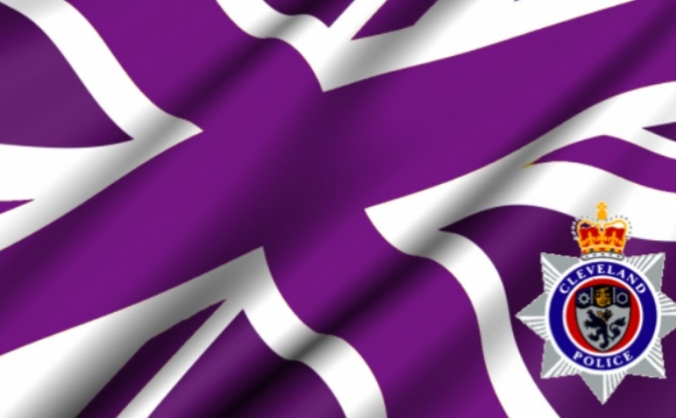 Help Elect Steve Matthews as UKIP PCC Cleveland