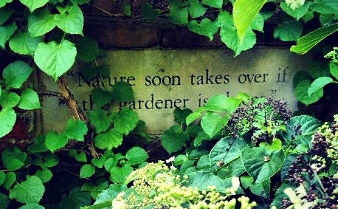 Nature's takeover - RHS Flower Show Cardiff 2019