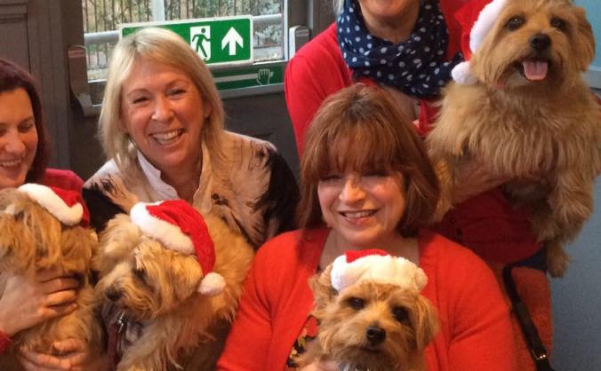 Charity Dog Events