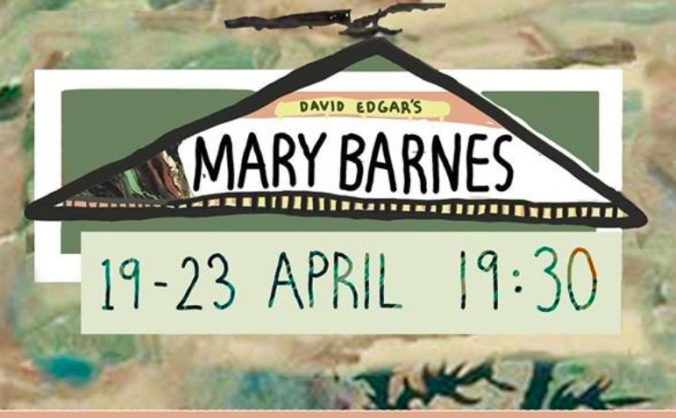 The Mary Barnes Project Needs Funds!