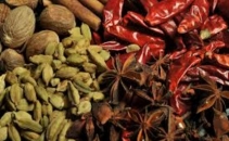 The Spice Academy