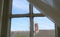 The Artist's Window