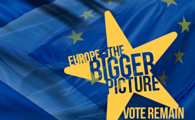 The Bigger Picture Remain Campaign