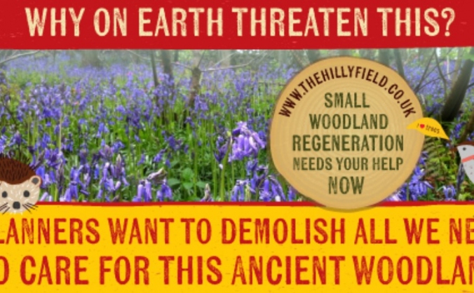 The Hillyfield Appeal - Help Small Woods Thrive