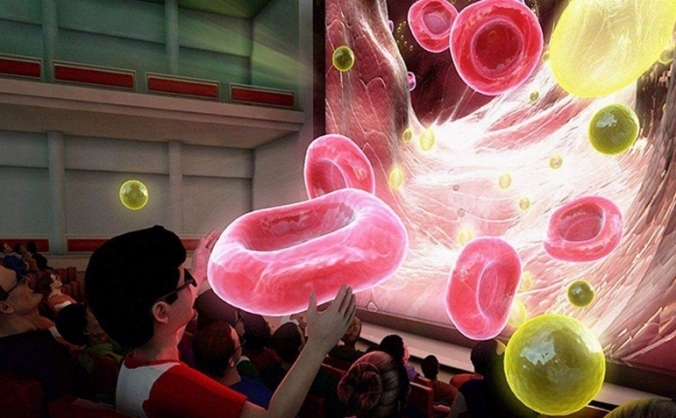 3D Learning Experience