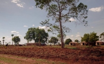 Community Transformation through Legal Education