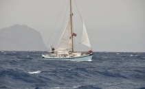 Restore Pavane