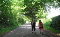 Ancestor's Trail