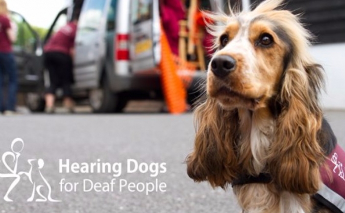 The Pup-mobile Appeal