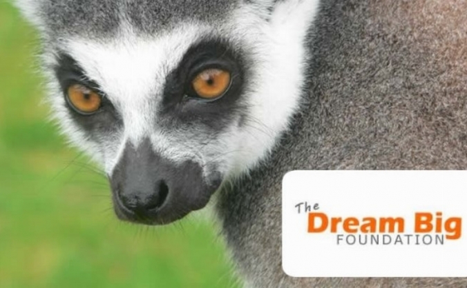 Education 4 Conservation