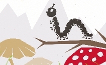 'Where Caterpillars Go' by Travelled Companions