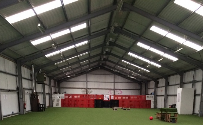 Fly ball Action Petz Bridgend