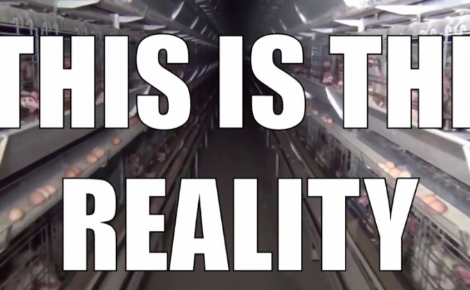 Write a new reality - Vegan Outreach