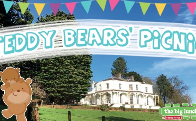 Teddy Bears' Picnic & Fun Day