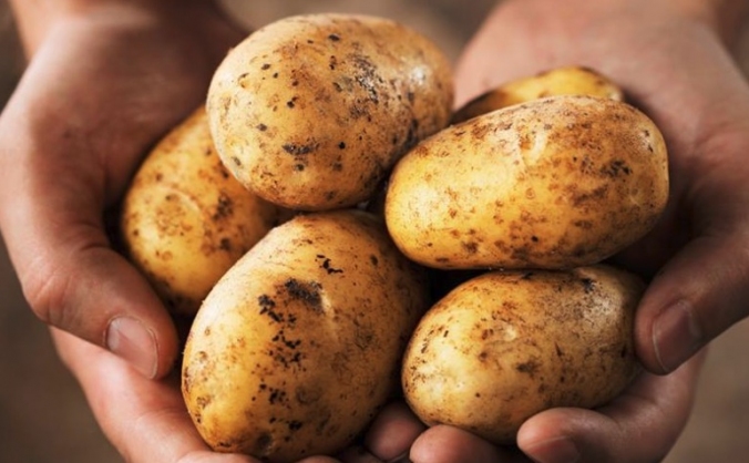 Help buy food for Calais