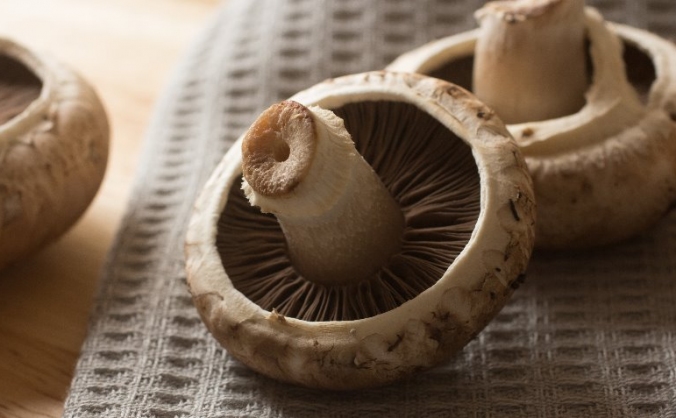 Great British Food Project