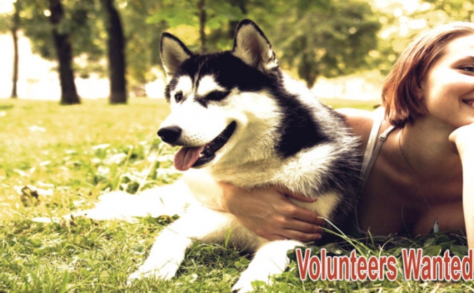 Wirral Husky & Malamute Rescue