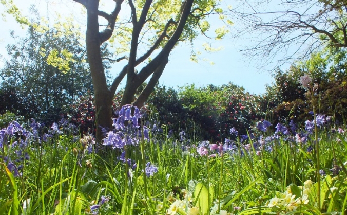Poole and Bournemouth Nature & Wildlife Group