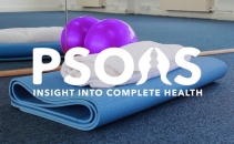 Psoas Holistic Health Workshops