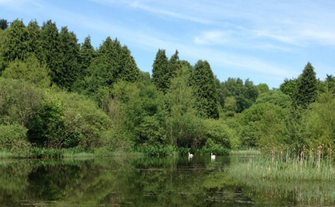 STOP THE EUROPARK - SAVE OUR GREENBELT