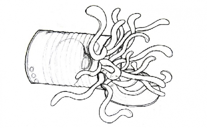 Can of Worms
