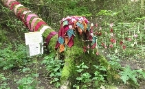 Grinlow art trail
