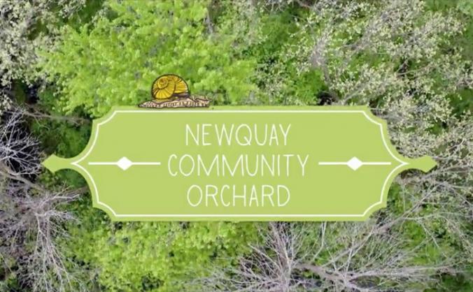 Newquay Community Orchard