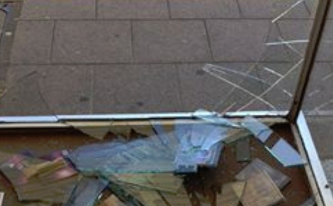 Repair the Notorious Aardvarks Big Window !