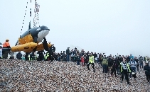 Whale Of A Time! Supported by Monty Halls