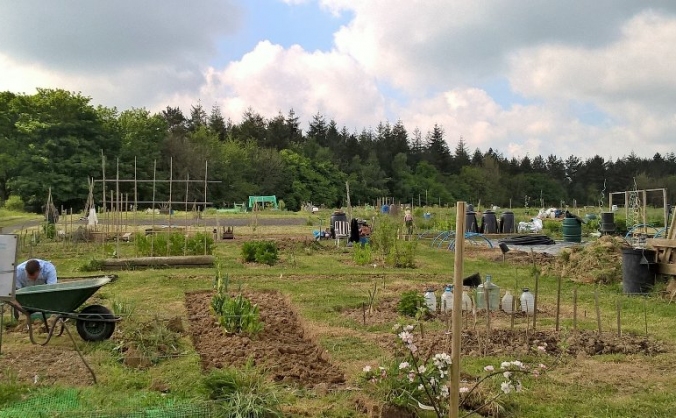 Community Garden