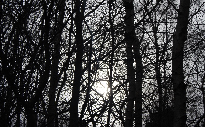 The Misanthropy of Loneliness