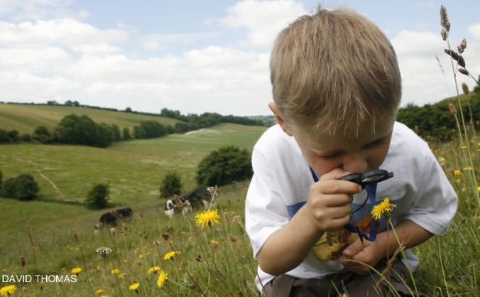 Bringing people and nature back together
