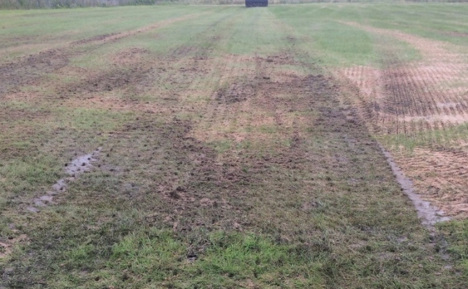 Protecting our fields