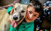 Palestinian Animal League Solidarity (PALS)