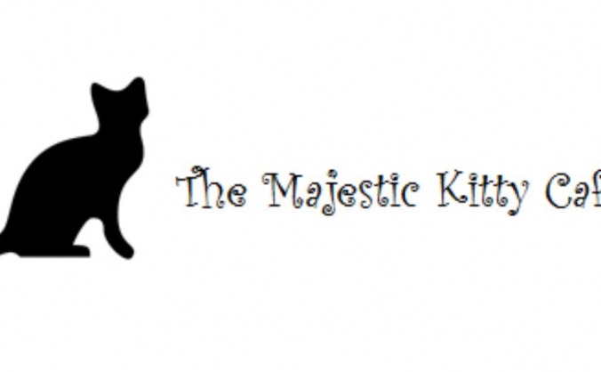 Cat Cafe in Northampton!