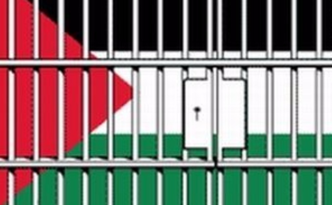 Support a pro-palestinian activist