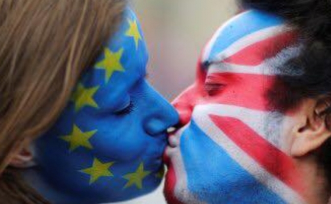 Pro-EU leaflets for marches/protests and website