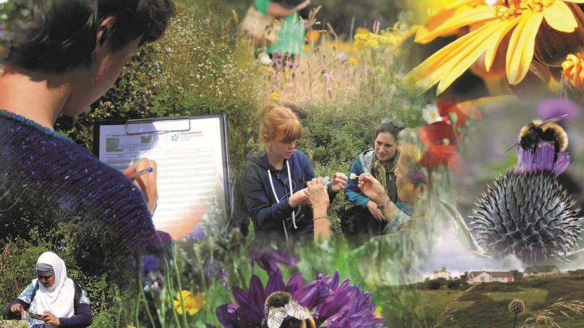 Bee Connected - a Environment crowdfunding project in Romney Marsh by ...