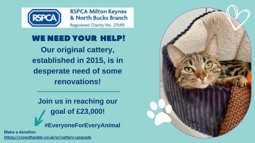 Rescue Cattery Repair and Upgrade - a Environment crowdfunding project ...