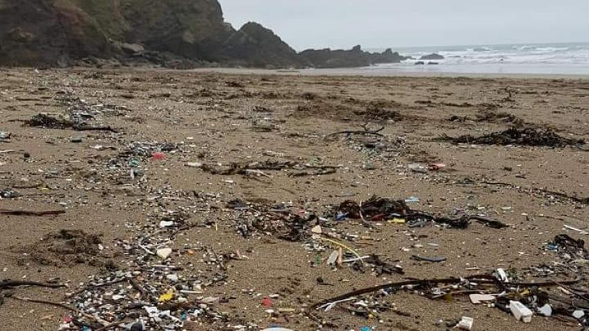 Cleaning Devon And Cornwall Beaches - a Community crowdfunding project ...
