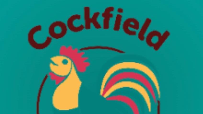 The Cockfield CofE Primary School Fundraiser - a Community crowdfunding ...