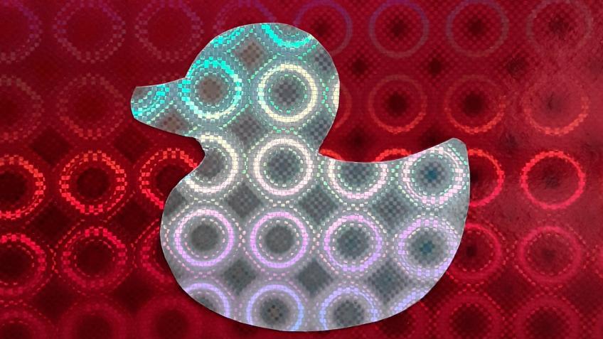 Diamond Duck - a Publishing crowdfunding project in Nottingham by Carla ...