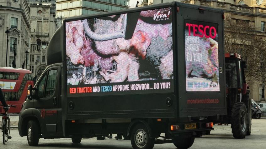 Digivan for the International Cheese Awards - a Personal Causes ...