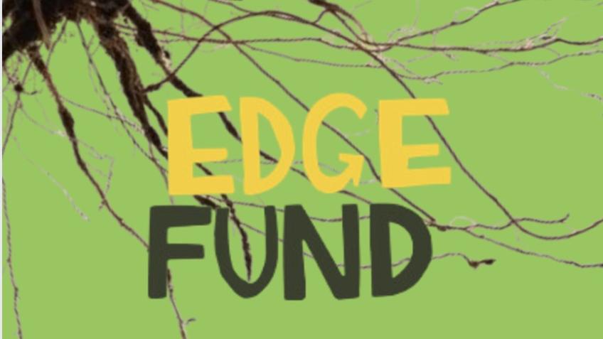 Support Edge Fund's Root Funding Round - a Community crowdfunding ...