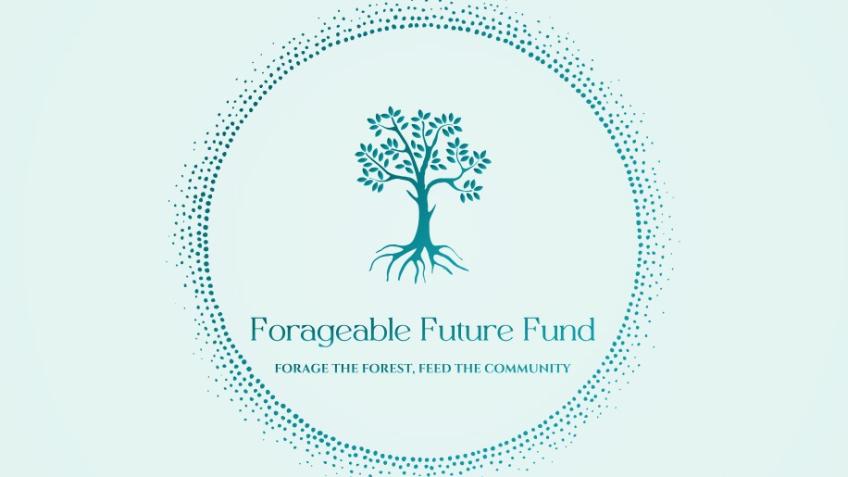 Future Fund staff paid over $1m, doubling PM's base salary