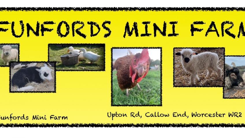 Funford mini farm - a Community crowdfunding project in Worcester by ...