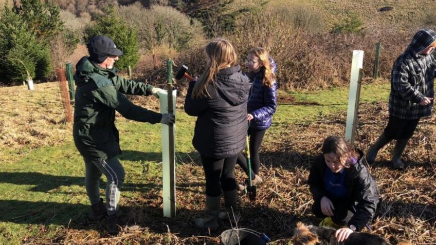 Growing a community woodland - a Community crowdfunding project in ...