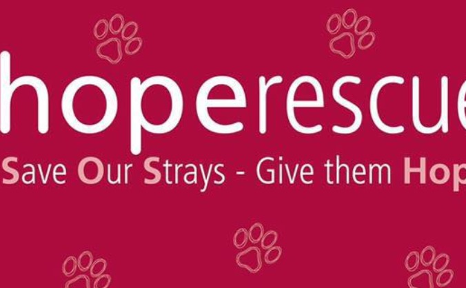 Help Hope Rescue Buy A Rescue Centre - a Charities crowdfunding project ...