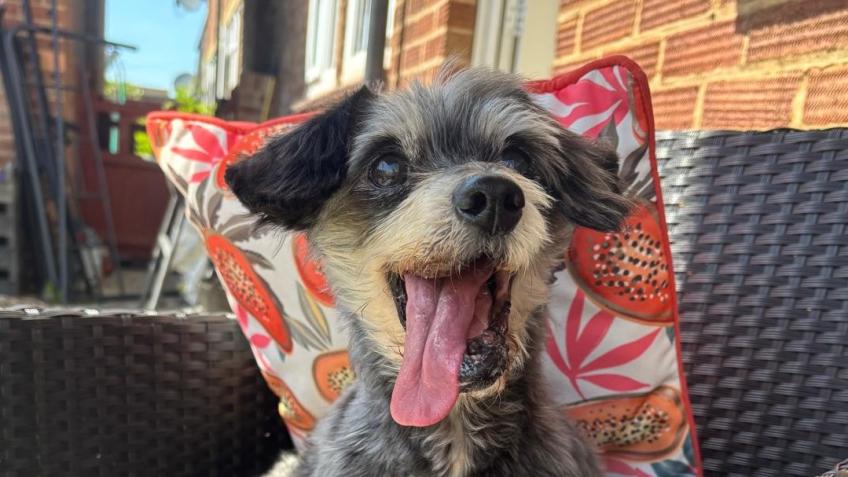 Help for Hamish - a Personal Causes crowdfunding project in Bedford by ...