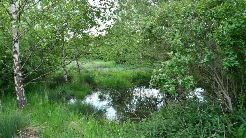 Menston Area Nature Trust - a Community crowdfunding project in Ilkley ...